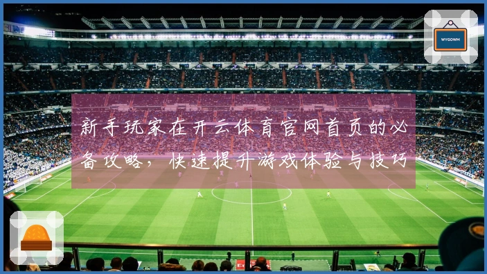 新手玩家在开云体育官网首页的必备攻略,快速提升游戏体验与技巧